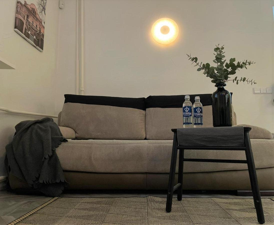 Linkuva Manor Apartment Kowno Zewnętrze zdjęcie