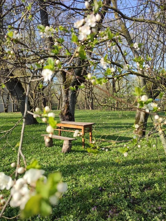 Linkuva Manor Apartment Kowno Zewnętrze zdjęcie